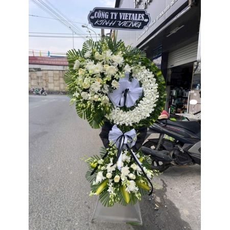 Sắc Trắng Vô Thường