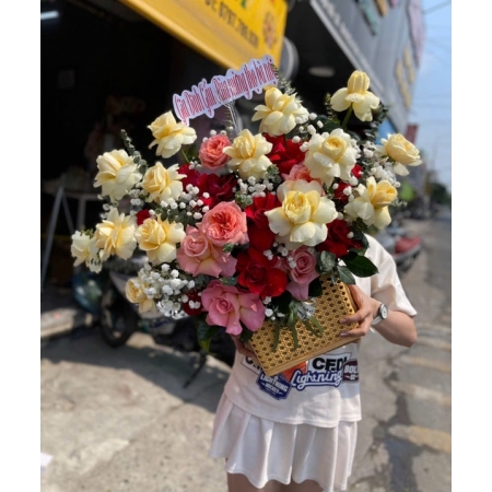 Tỏa Sáng Vạn Ngày