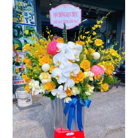 Khởi Sắc Vững Vàng