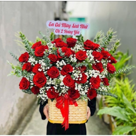 Ánh Sao Sinh Nhật 