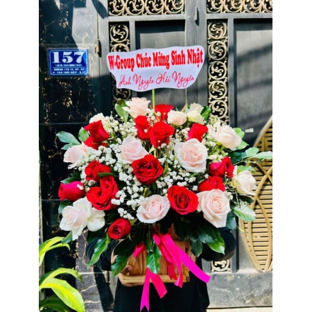 Sắc Màu Tuổi Mới 