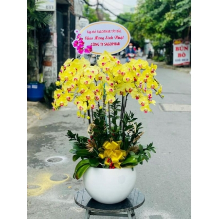 Cánh Điệp Thanh Tao