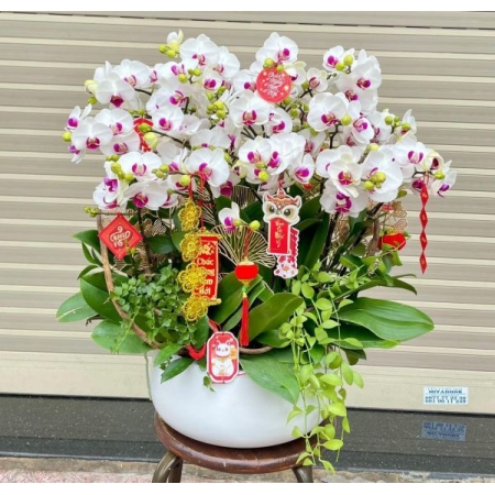 Lộc Điệp Phát Tài