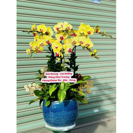 Điệp Khúc Hạnh Phúc