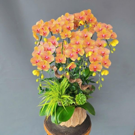 Sắc Điệp Vĩnh Cửu